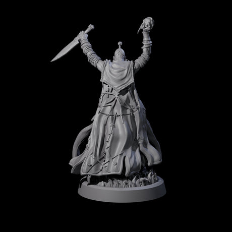 Fanatical Orcale A Miniature for Dungeons and Dragons, Pathfinder or other TTRPGs