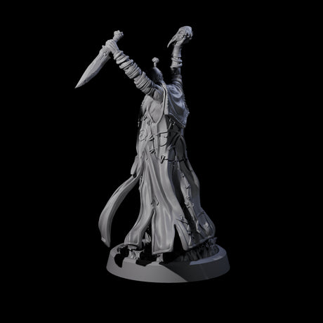 Fanatical Orcale A Miniature for Dungeons and Dragons, Pathfinder or other TTRPGs