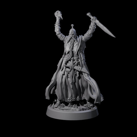 Fanatical Orcale A Miniature for Dungeons and Dragons, Pathfinder or other TTRPGs