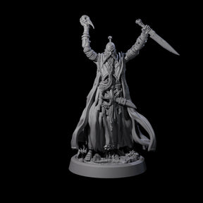 Fanatical Orcale A Miniature for Dungeons and Dragons, Pathfinder or other TTRPGs