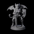 Fiendious Armoured Succubus Miniature for Dungeons and Dragons, Pathfinder or other TTRPGs