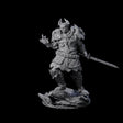 Firey Tiefling Warlock Miniature for Dungeons and Dragons, Pathfinder or other TTRPGs
