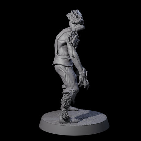 Five Clicking Fungal Zombies Miniature for Dungeons and Dragons, Pathfinder or other TTRPGs