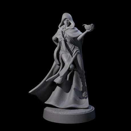 Five Twisted Blood Maidens Miniature for Dungeons and Dragons, Pathfinder or other TTRPGs