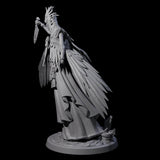 Flowing Owl Worshipping Cultist D Miniature for Dungeons and Dragons, Pathfinder or other TTRPGs