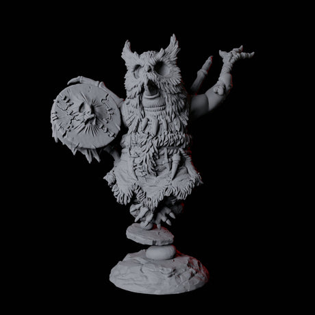 Forest Dohwar Shaman A Miniature for Dungeons and Dragons, Pathfinder or other TTRPGs