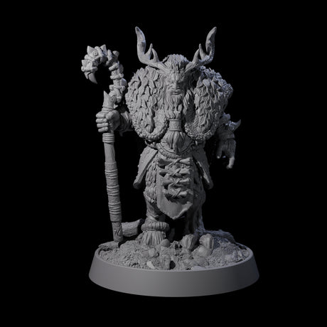 Forest Guardian Satyr D Miniature for Dungeons and Dragons, Pathfinder or other TTRPGs