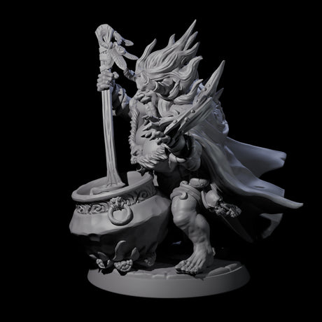 Forest Hag A Miniature for Dungeons and Dragons, Pathfinder or other TTRPGs