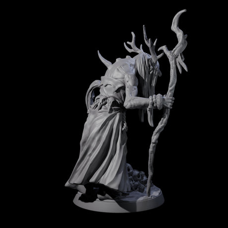 Forest Hag B Miniature for Dungeons and Dragons, Pathfinder or other TTRPGs