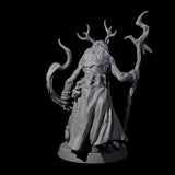 Forest Hag B Miniature for Dungeons and Dragons, Pathfinder or other TTRPGs