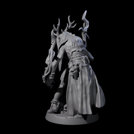 Forest Hag B Miniature for Dungeons and Dragons, Pathfinder or other TTRPGs