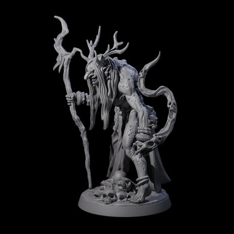Forest Hag B Miniature for Dungeons and Dragons, Pathfinder or other TTRPGs