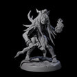 Forest Hag C Miniature for Dungeons and Dragons, Pathfinder or other TTRPGs