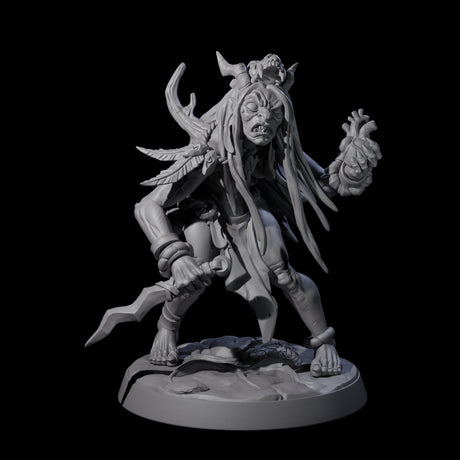 Forest Hag C Miniature for Dungeons and Dragons, Pathfinder or other TTRPGs