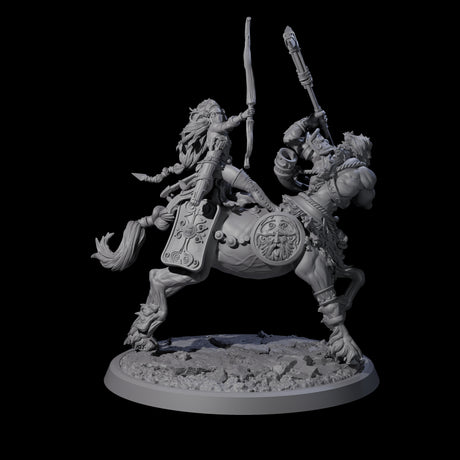 Four Centaur Elf Teamups Miniature for Dungeons and Dragons, Pathfinder or other TTRPGs