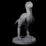 Four Hunting Axe Beaks Miniature for Dungeons and Dragons, Pathfinder or other TTRPGs