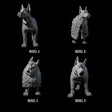 Four Inquisitive Dogs Miniature for Dungeons and Dragons, Pathfinder or other TTRPGs