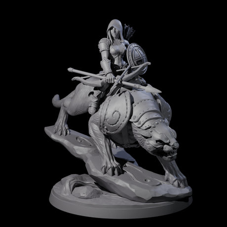 Four Shadowy Assassin Sisters riding Panthers Miniature for Dungeons and Dragons, Pathfinder or other TTRPGs