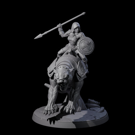 Four Shadowy Assassin Sisters riding Panthers Miniature for Dungeons and Dragons, Pathfinder or other TTRPGs