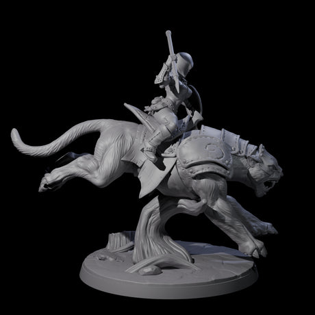Four Shadowy Assassin Sisters riding Panthers Miniature for Dungeons and Dragons, Pathfinder or other TTRPGs
