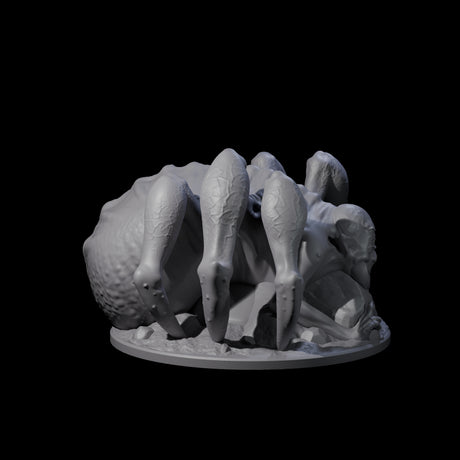 Freshly Birthed Drider Priestess Miniature for Dungeons and Dragons, Pathfinder or other TTRPGs