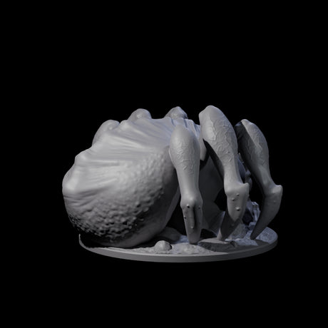 Freshly Birthed Drider Priestess Miniature for Dungeons and Dragons, Pathfinder or other TTRPGs