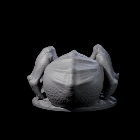 Freshly Birthed Drider Priestess Miniature for Dungeons and Dragons, Pathfinder or other TTRPGs