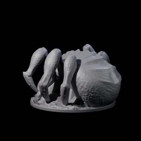 Freshly Birthed Drider Priestess Miniature for Dungeons and Dragons, Pathfinder or other TTRPGs