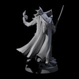 Frilled Lizardfolk Arcane Trickster Miniature for Dungeons and Dragons, Pathfinder or other TTRPGs
