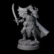 Frilled Lizardfolk Arcane Trickster Miniature for Dungeons and Dragons, Pathfinder or other TTRPGs