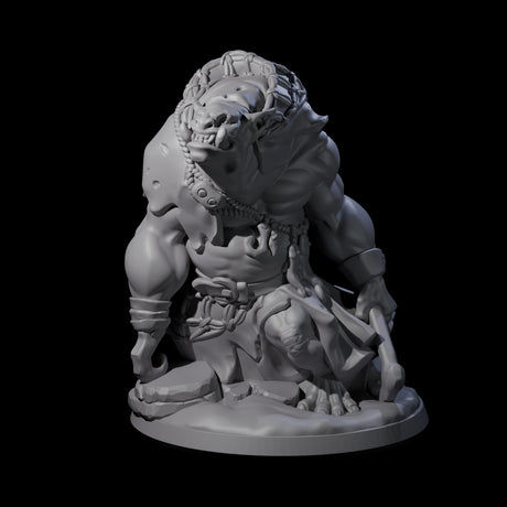 Frothing Ogre A Miniature for Dungeons and Dragons, Pathfinder or other TTRPGs