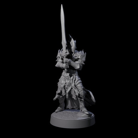 Full Helm Elf Blademaster B Miniature for Dungeons and Dragons, Pathfinder or other TTRPGs