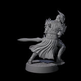 Full Helm Elf Blademaster C Miniature for Dungeons and Dragons, Pathfinder or other TTRPGs