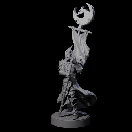 Full Helm Elf Blademaster F Miniature for Dungeons and Dragons, Pathfinder or other TTRPGs