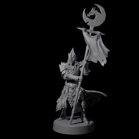 Full Helm Elf Blademaster F Miniature for Dungeons and Dragons, Pathfinder or other TTRPGs