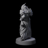 Full Helm Elf Blademaster H Miniature for Dungeons and Dragons, Pathfinder or other TTRPGs