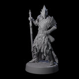 Full Helm Elf Blademaster H Miniature for Dungeons and Dragons, Pathfinder or other TTRPGs