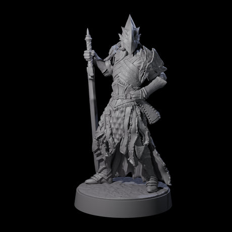 Full Helm Elf Blademaster H Miniature for Dungeons and Dragons, Pathfinder or other TTRPGs