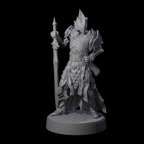 Full Helm Elf Blademaster H Miniature for Dungeons and Dragons, Pathfinder or other TTRPGs