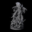 Fungal Night Hag B Miniature for Dungeons and Dragons, Pathfinder or other TTRPGs