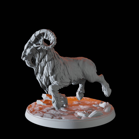 Giant Ram A Miniature for Dungeons and Dragons, Pathfinder or other TTRPGs