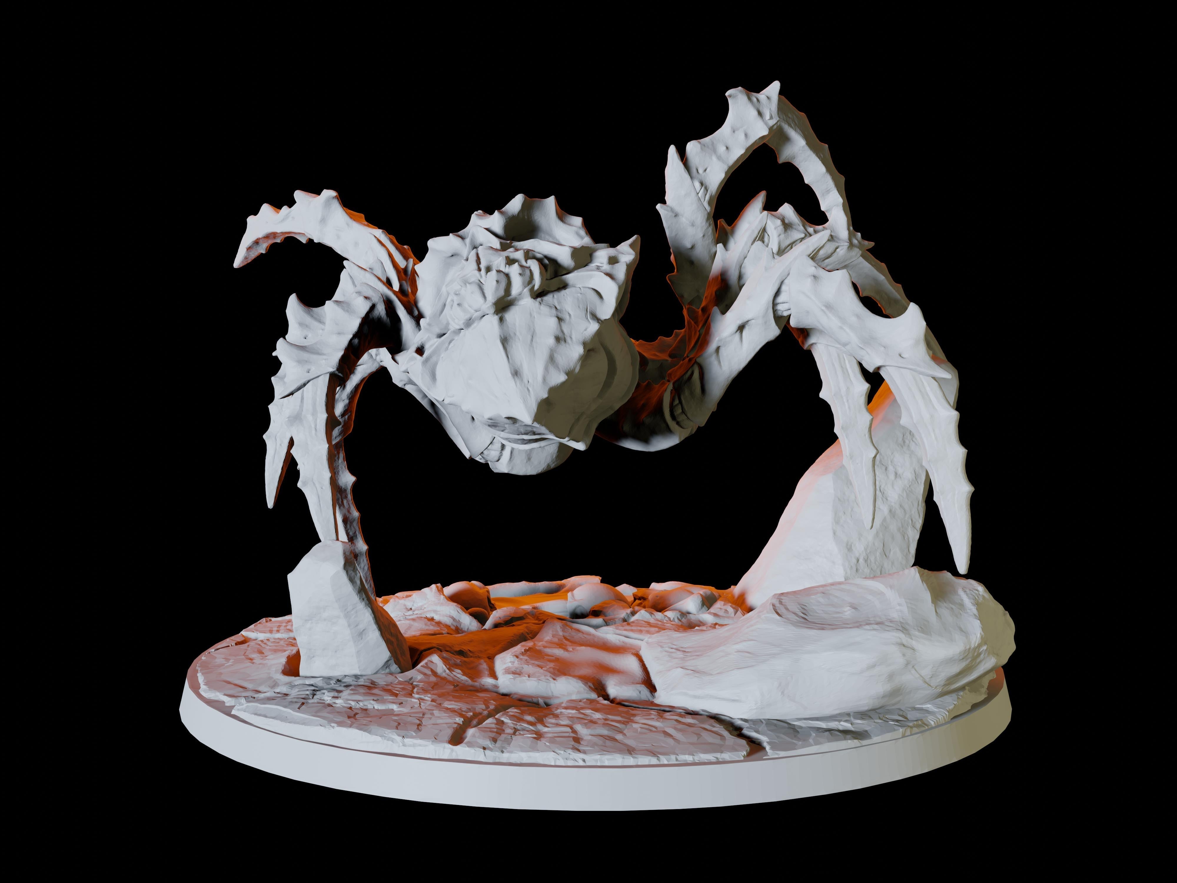 Giant Spider Miniature for Dungeons and Dragons - Myth Forged