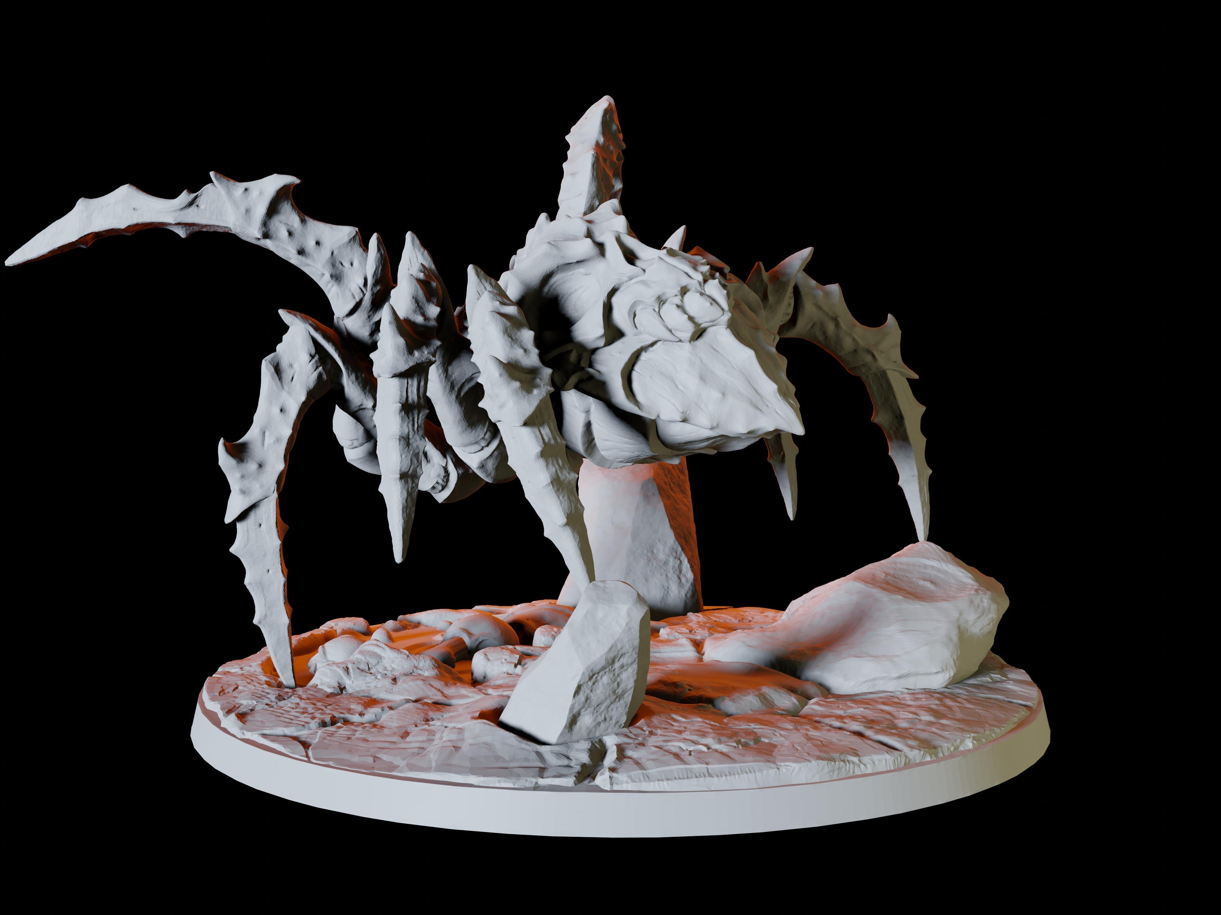 Giant Spider Miniature for Dungeons and Dragons - Myth Forged