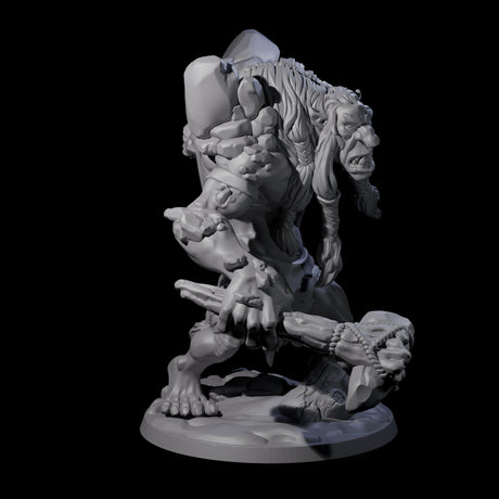 Gluttonous Troll C Miniature for Dungeons and Dragons, Pathfinder or other TTRPGs