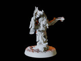 Gnome Bard Miniature for Dungeons and Dragons, Pathfinder or other TTRPGs