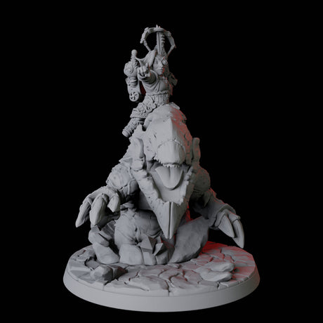 Gnome Rider C Miniature for Dungeons and Dragons, Pathfinder or other TTRPGs