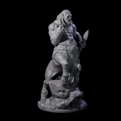 Grasping Centaur Warrior Miniature for Dungeons and Dragons, Pathfinder or other TTRPGs