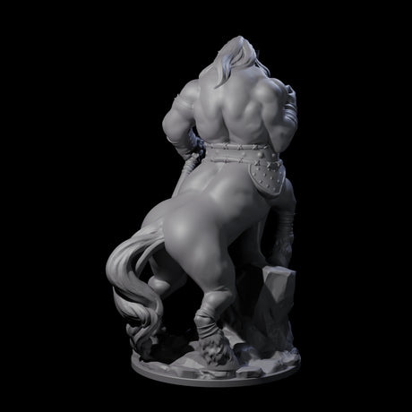 Grasping Centaur Warrior Miniature for Dungeons and Dragons, Pathfinder or other TTRPGs