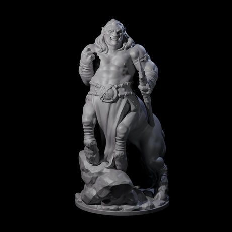 Grasping Centaur Warrior Miniature for Dungeons and Dragons, Pathfinder or other TTRPGs