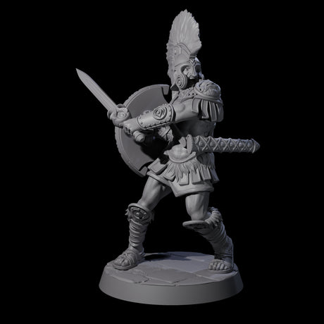 Greek Inspired Sword Hoplite B Miniature for Dungeons and Dragons, Pathfinder or other TTRPGs